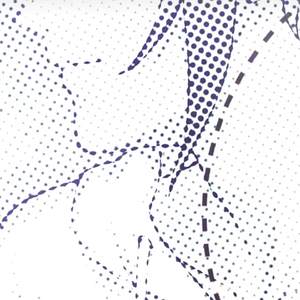 2017年鳝鱼门原视频
