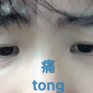 2017年鳝鱼门原视频
