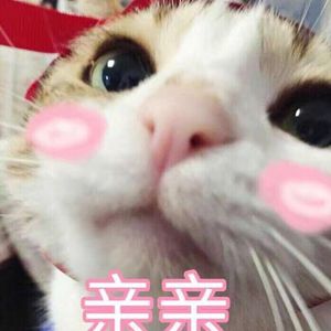 2017年鳝鱼门原视频
